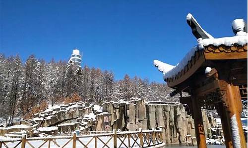 宝泉岭天气预报30天气_宝泉岭天气预报15天气