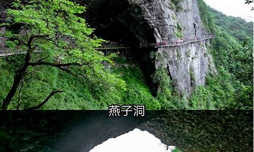 金佛山风景区旅游攻略_金佛山风景区旅游攻略门票